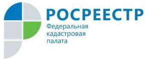 На вопросы ивановских предпринимателей ответили представители Кадастровой палаты