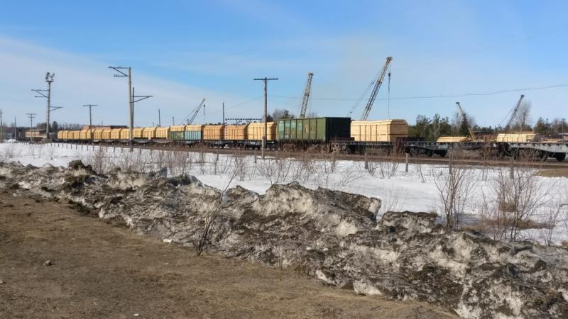 В Томске выявлена контрабанда лесоматериалов в крупном размере