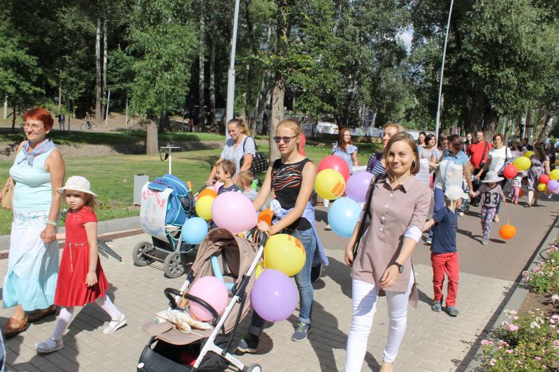 Активисты ОНФ предложили властям Воронежа провести шествие в День семьи в 2020 году на главных улицах города