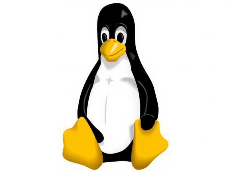 Какой лучший дистрибутив Linux для начинающих?