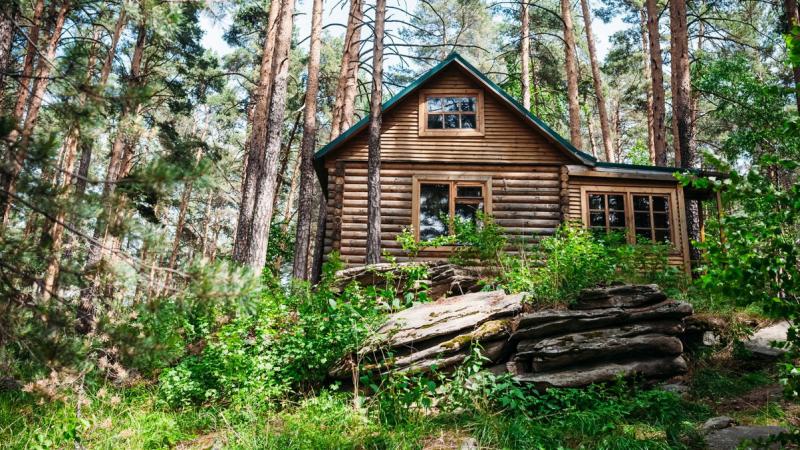 Пересечения лесных участков устранят согласно т.н. «лесной амнистии»