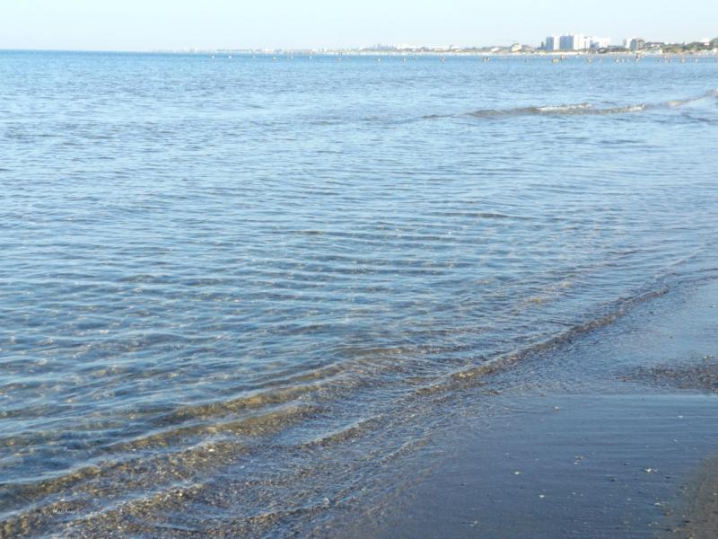 Вода в Чёрном море в районе Анапы соответствует всем санитарным нормам