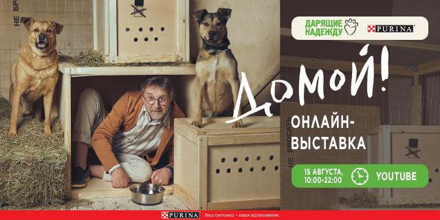 Из приюта – «ДОМОЙ!»: фонд «Дарящие надежду» и Purina 
проведут онлайн-пристройство и фотовыставку в саду «Эрмитаж»