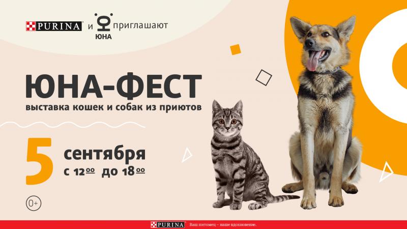 Центр «Юна» и бренд Purina проведут выставку-пристройство собак и кошек из приютов на территории центра дизайна Artplay