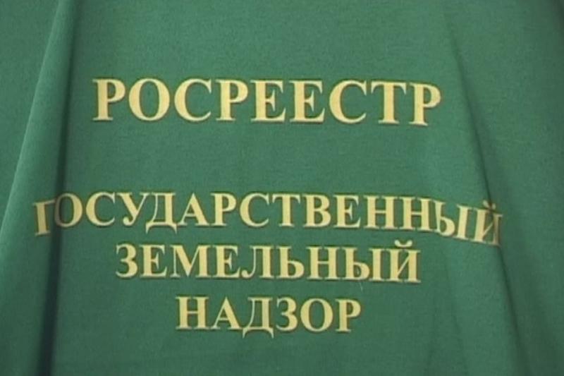 В Управление Росреестра поступило 335 материалов о нарушителях земельного законодательства