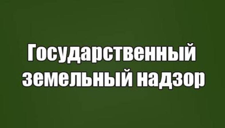 На вопросы в сфере земельного и геодезического надзора ответят в забайкальском Росреестре