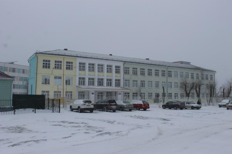 Активисты ОНФ призвали власти Воронежа сделать безопаснее путь до школы в микрорайоне Боровое