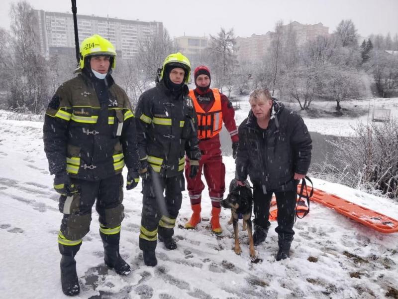 Спасли собаку, провалившуюся под лед