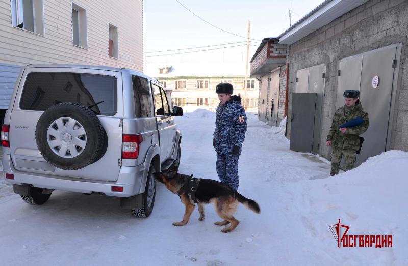 На Ямале подведены итоги учебно-методического сбора специалистов-кинологов Росгвардии