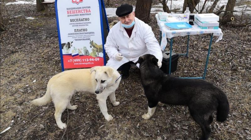 В Подмосковье снизилось число случаев бешенства у животных