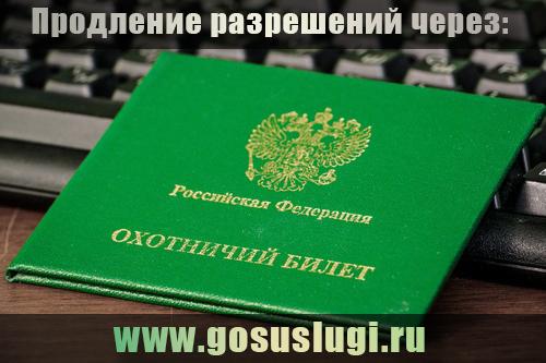 Росгвардия напоминает жителям области о своевременном продлении разрешений на хранение и ношение оружия