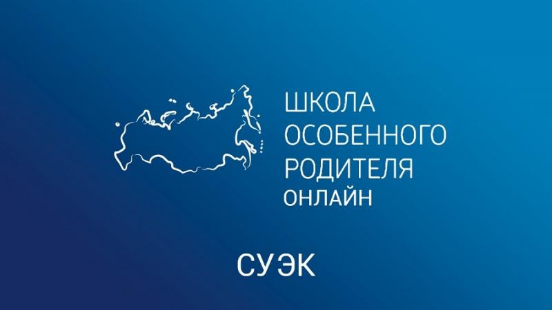 Завершился проект «Школа особенного родителя – онлайн» в г. Назарово Красноярского края