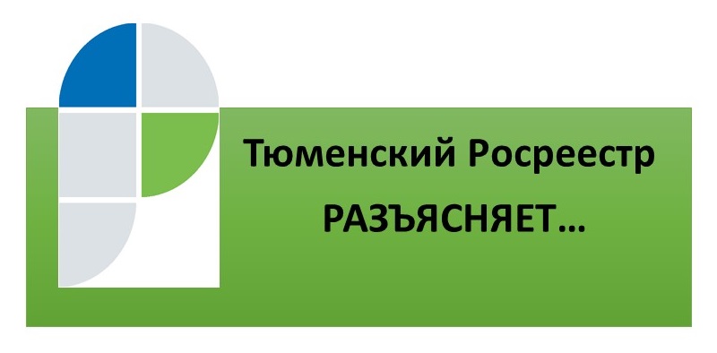 Тюменский Росреестр разъяснил нюансы раздела земельного участка