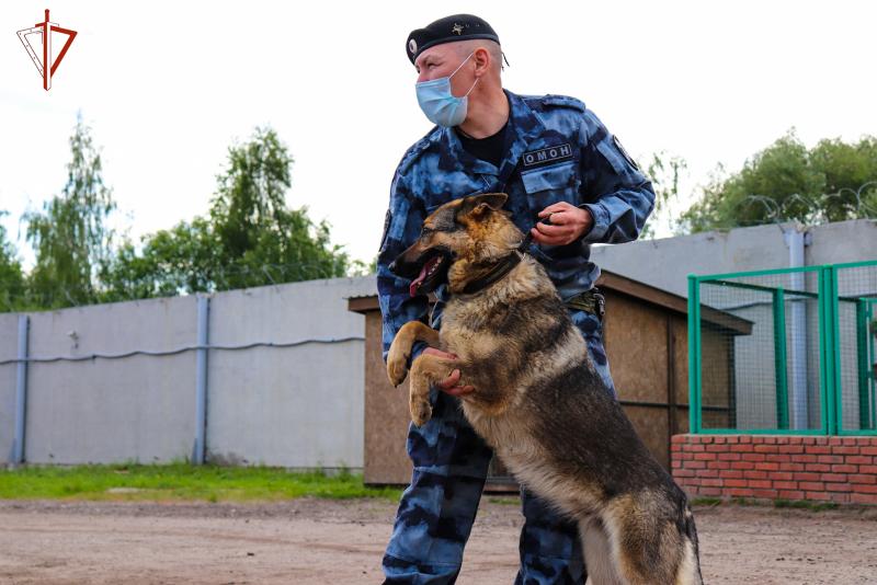 Кинологи Росгвардии Республики Марий Эл отмечают праздник