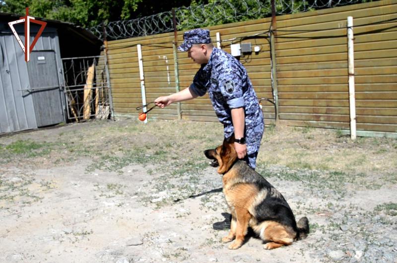 21 июня – День кинологических подразделений Росгвардии