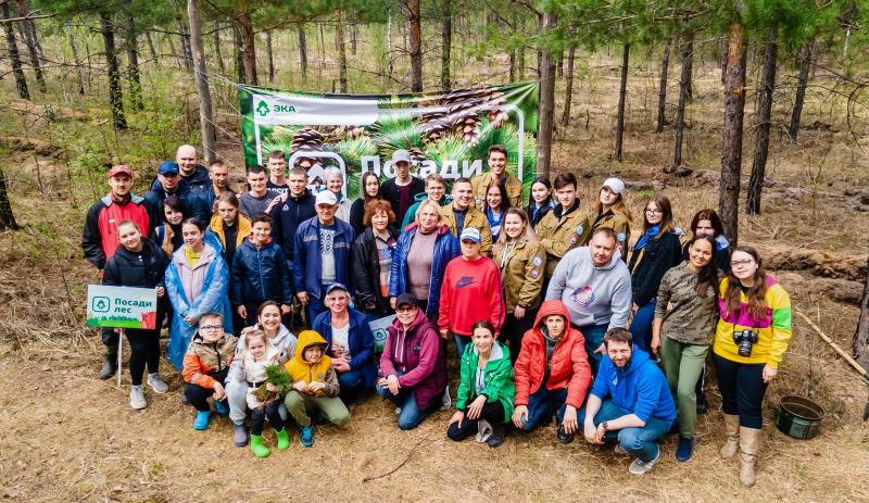 В Ульяновской области высадили 10000 саженцев