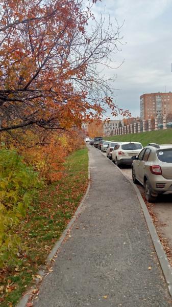 рядом кт и админы и вишня растет дорога в библиотеку