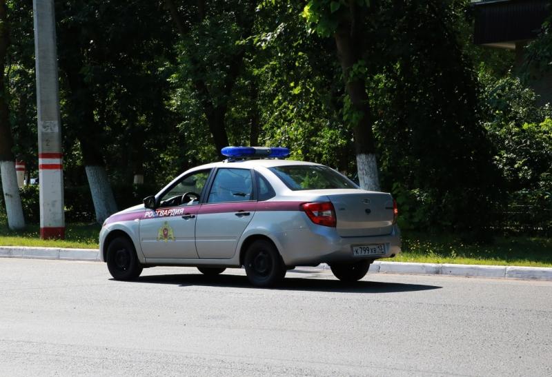 В Ардатовском районе Республики Мордовия росгвардейцы оказали содействие сотрудникам ДПС в задержании пьяного водителя