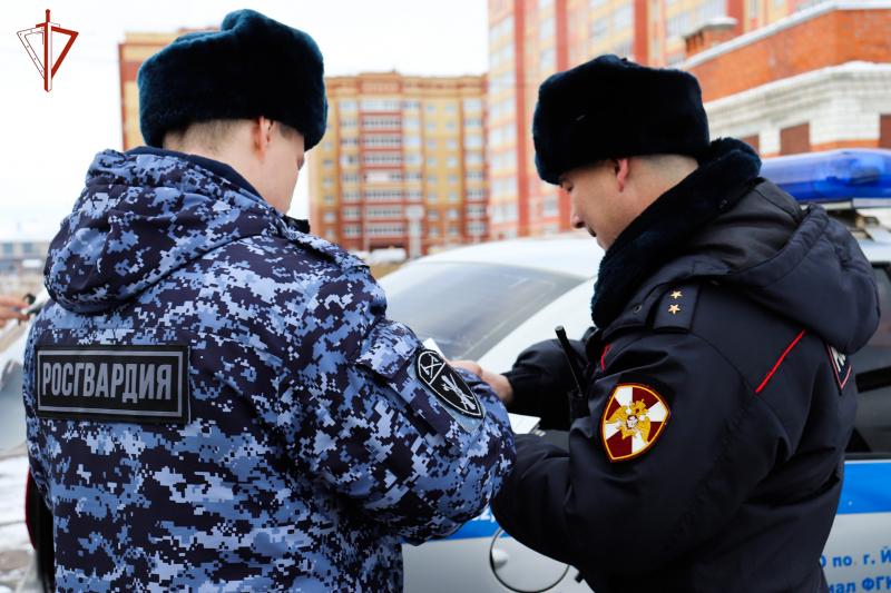 В Йошкар-Оле сотрудники Росгвардии задержали гражданина, объявленного в федеральный розыск