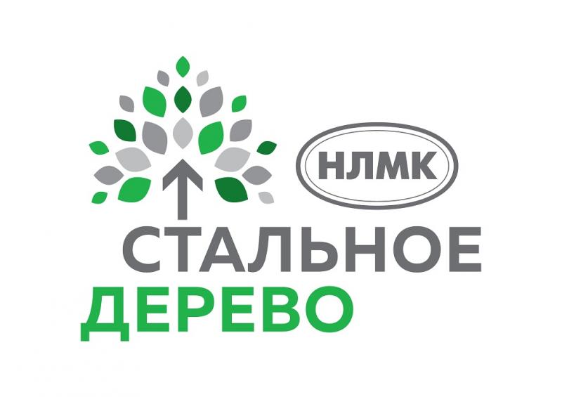 «Стальное дерево» открыло прием заявок на гранты 2022 года