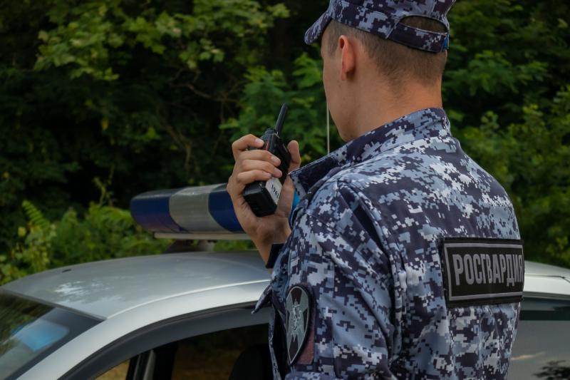 В Пензе сотрудники Росгвардии задержали гражданку, повредившую чужой автомобиль