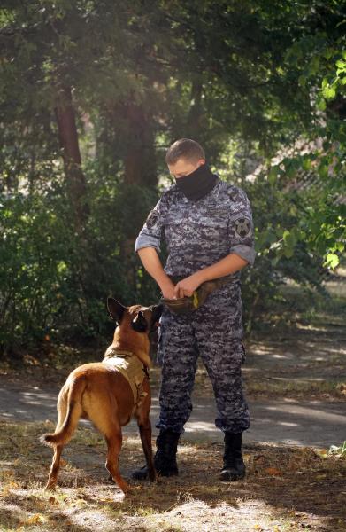 ЧЕТВЕРОНОГИЙ СОТРУДНИК РОСГВАРДИИ ПОЗНАКОМИЛСЯ С ВОСПИТАННИКАМИ ВОРОНЕЖСКОЙ КАДЕТСКОЙ ШКОЛЫ ИМЕНИ АЛЕКСАНДРА СУВОРОВА