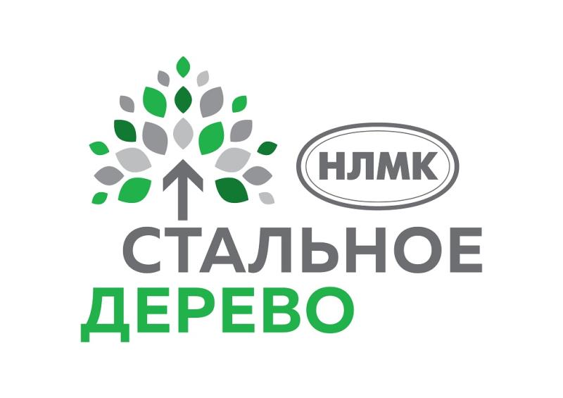 Открыт прием заявок на гранты программы «Стальное дерево» 2023 года