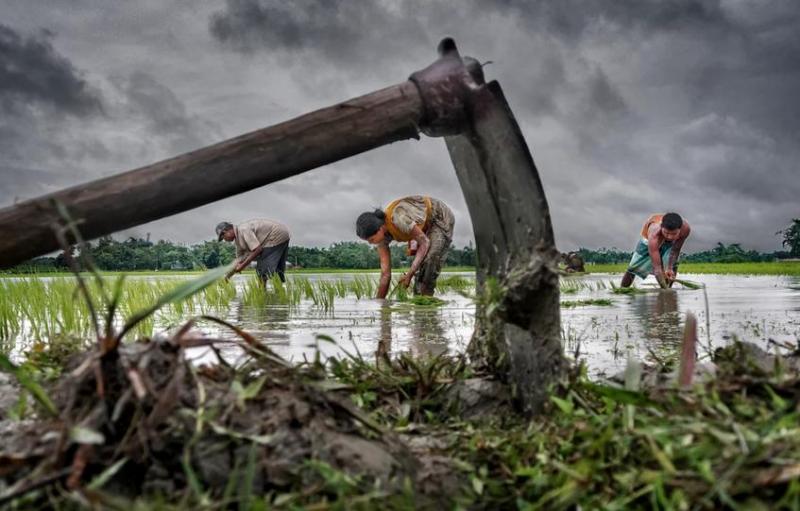 Подведены итоги фотоконкурса 2015 CGAP Photo Contest