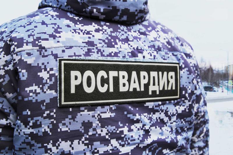 В Мордовии экипаж Росгвардии выявил пьяного водителя