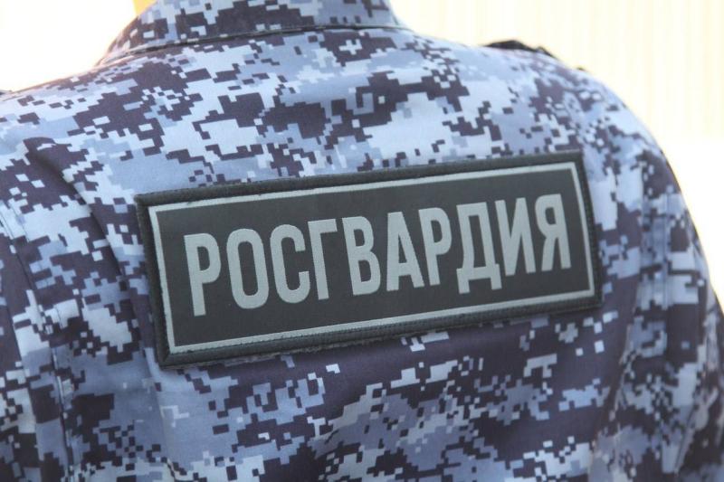 В Подмосковье сотрудники Росгвардии задержали подозреваемого в краже музыкальной гарнитуры