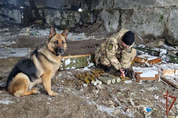 Росгвардейцы обнаружили схрон с боеприпасами противника в затопленном котловане в ЛНР