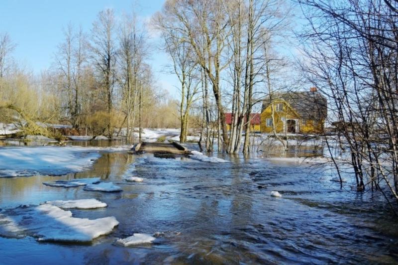 Уй затопила жилые дома и приусадебные участки в Новосибирской области