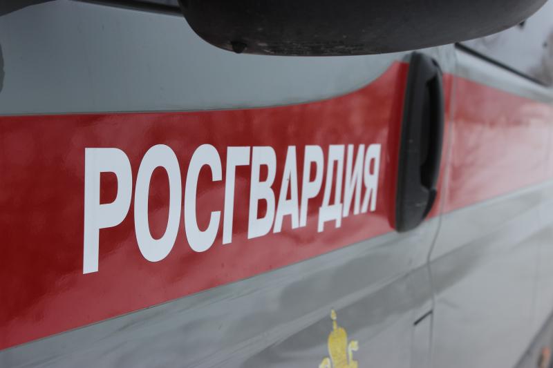 В Челябинске росгвардейцы задержали двух подозреваемых в различных кражах