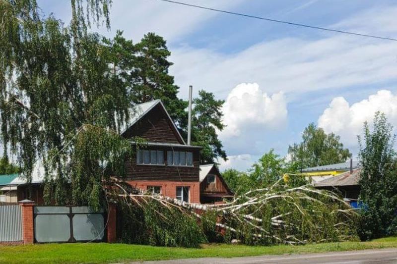 Мощный ураган оставил без света 7 тысяч жителей поселка под Новосибирском