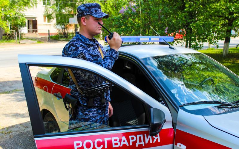 Сотрудники Росгвардии задержали похитителя сумки у водителя такси в Марий Эл