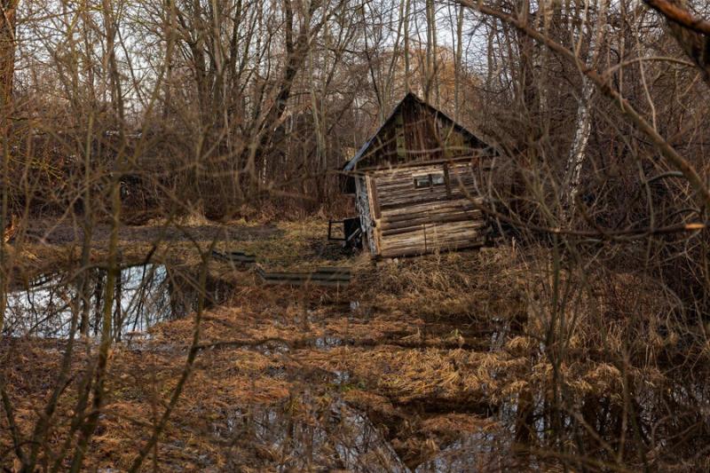 Стало известно, какие земельные участки смогут изъять у новосибирцев по новому закону