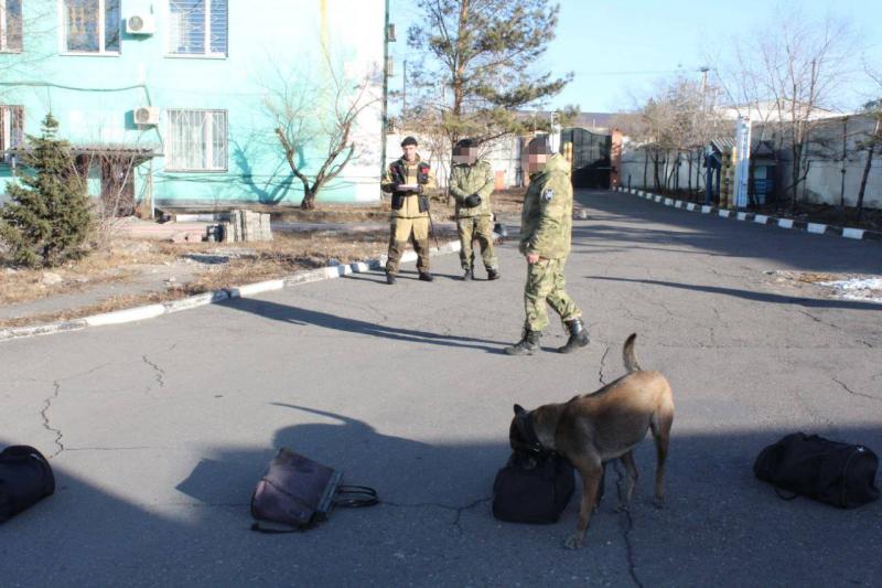 Кинолог ОМОН «Адыг» стал лучшим среди специалистов кинологических подразделений Тувы