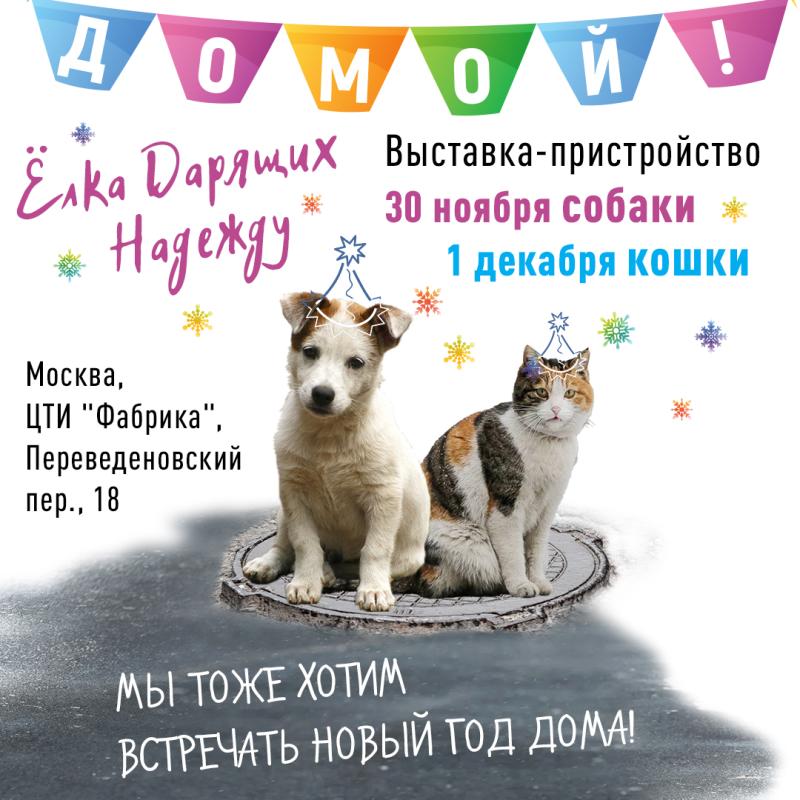 «Ёлка Дарящих надежду — 2024» - праздник пристройства в добрые руки животных из приютов