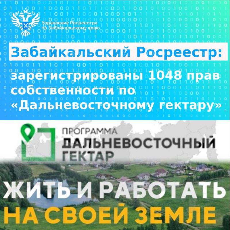 Забайкальский Росреестр: зарегистрированы 1048 прав собственности по «Дальневосточному гектару»  