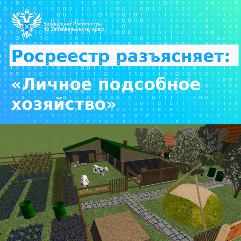 Росреестр разъясняет: Личное подсобное хозяйство 