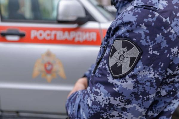 В Мордовии росгвардейцы за февраль пресекли 150 административных правонарушений