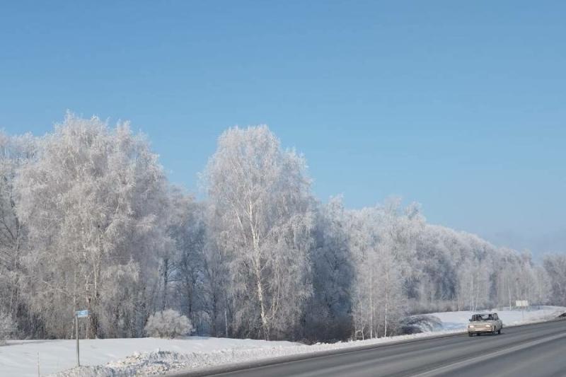 Зима вернется в Новосибирск уже в предстоящие выходные