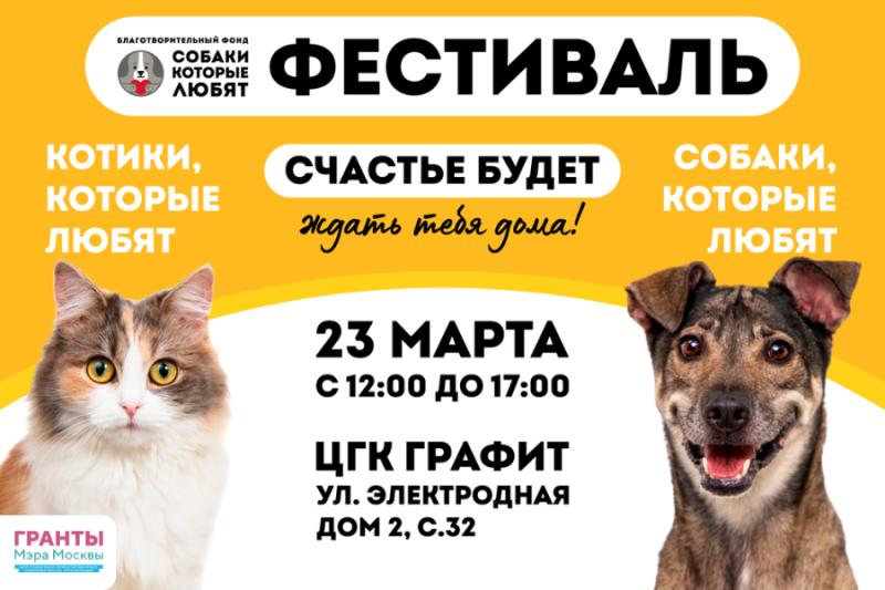В Москве пройдет фестиваль-пристройство «Собаки, которые любят... и котики!»