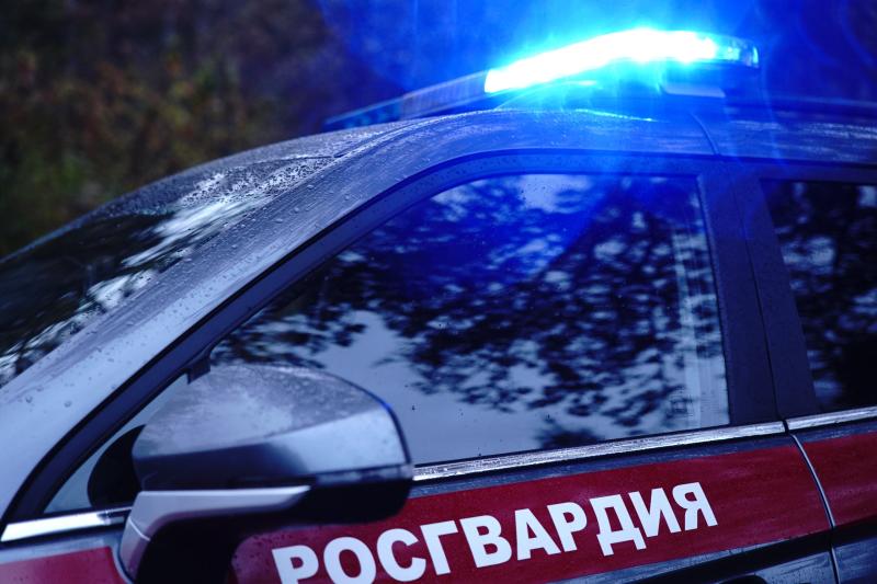 Сотрудники Росгвардии задержали мужчину, ходившего по крыше автомобиля на подземной парковке в Москве