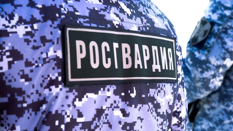 Росгвардейцы задержали подозреваемого в хищении ювелирного украшения из магазина в п. Советский (Марий Эл)