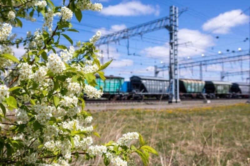 На ЗСЖД более чем в два раза выросла погрузка зерна
