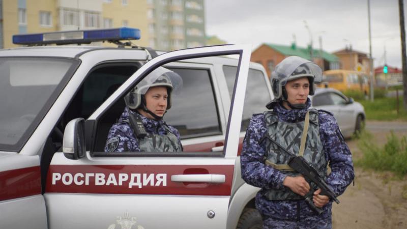 В Чамзинском районе сотрудники Росгвардии задержали гражданку по подозрению в повреждении имущества