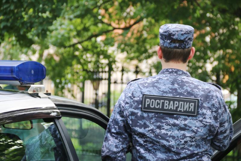 В Ардатове патруль Росгвардии задержал нетрезвого водителя