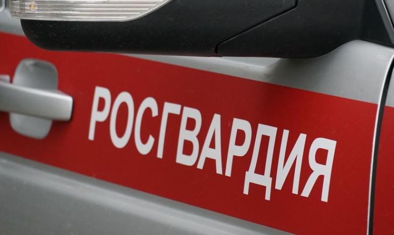 В Кирове росгвардейцы задержали посетительницу бара, разбившую телевизор