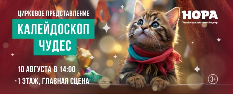 Цирковое представление «Калейдоскоп чудес» на сцене ТРЦ «Нора»